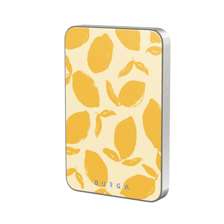 CP_02MS_MagPbank5K-SI