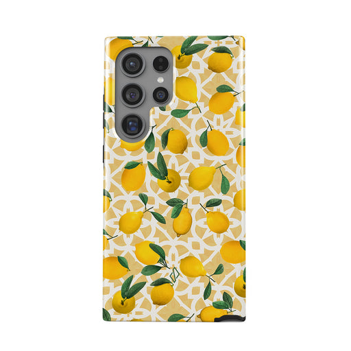 LL_01_S24ultra_TH-magnetic