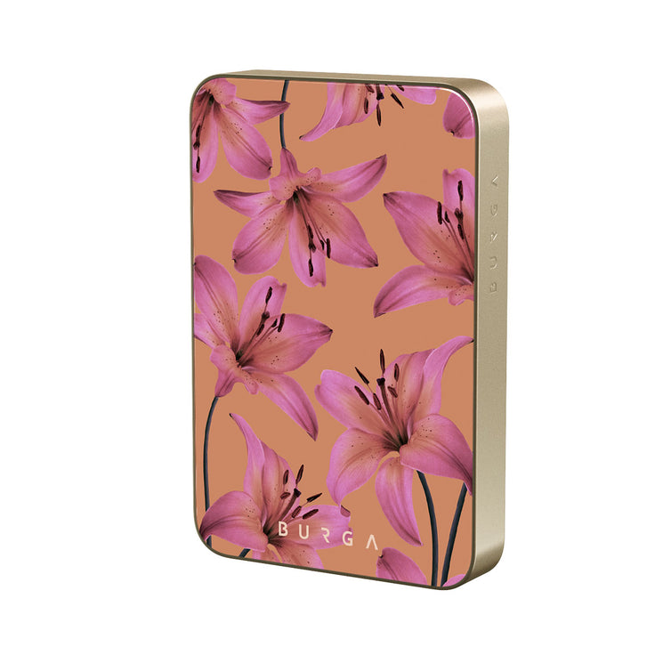 SO_07MS_MagPbank10K-GO